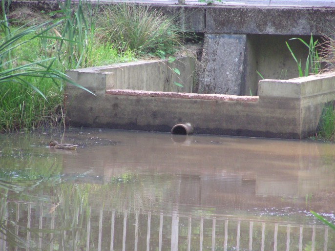 Water level down end-July 2006